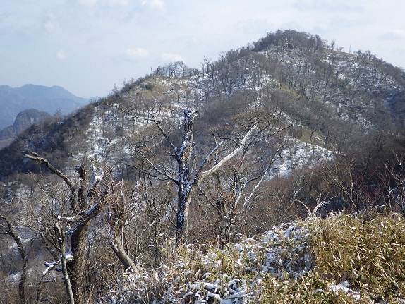 e0164643_1052025.jpg