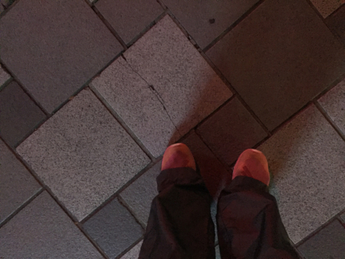 d0148449_06585646.jpg