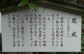 妙心寺・退蔵院_e0253249_14475274.jpg