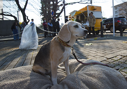 カレー屋さん_a0070350_2152131.jpg