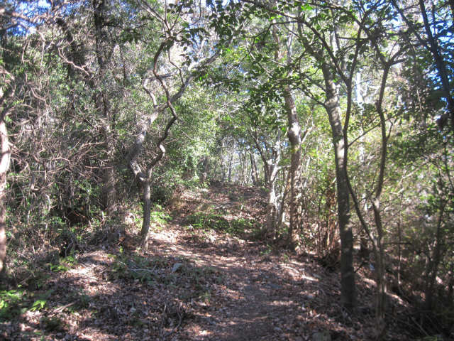 c0219866_1544327.jpg