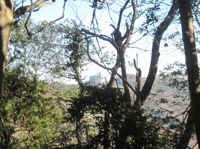 c0219866_15451529.jpg