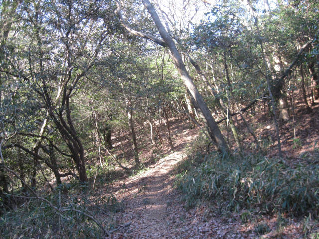 c0219866_15465770.jpg