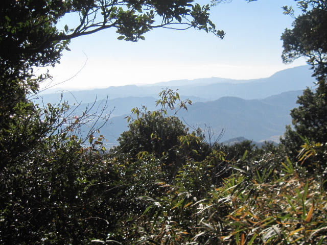 c0219866_15475034.jpg