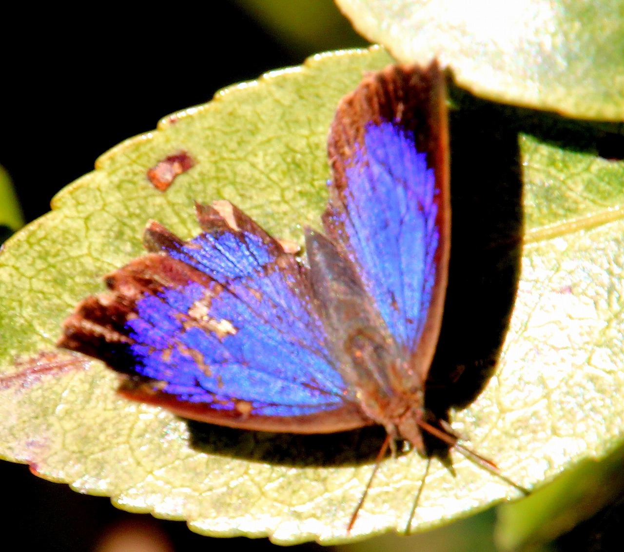 b0320769_15490922.jpg