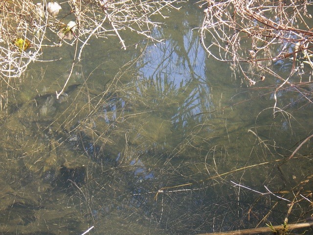 c0105569_0542260.jpg