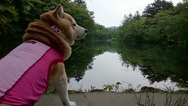 b0274270_13394778.jpg