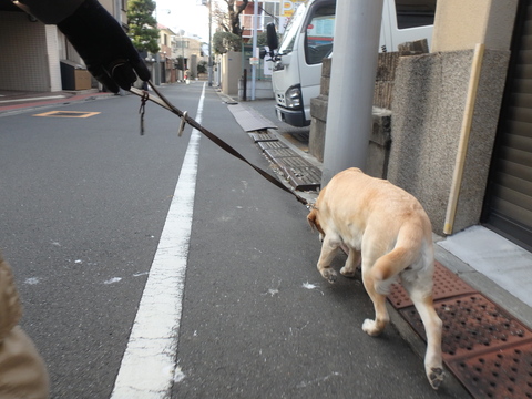 今日はみかんの足が重かった _f0052277_054057.jpg