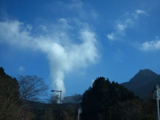 2016年1月16日 宿題まだ終わらない_b0098584_19333410.jpg