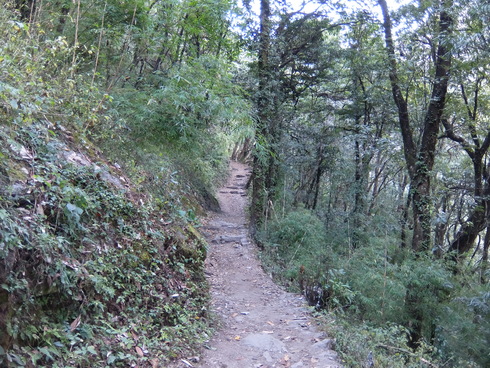 a0207588_15234034.jpg
