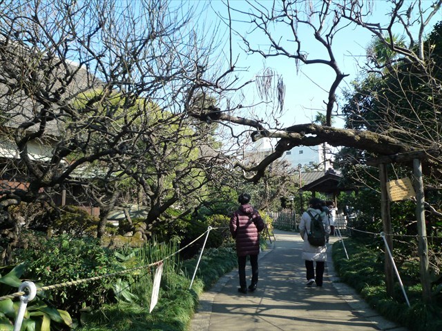 b0287088_20065155.jpg