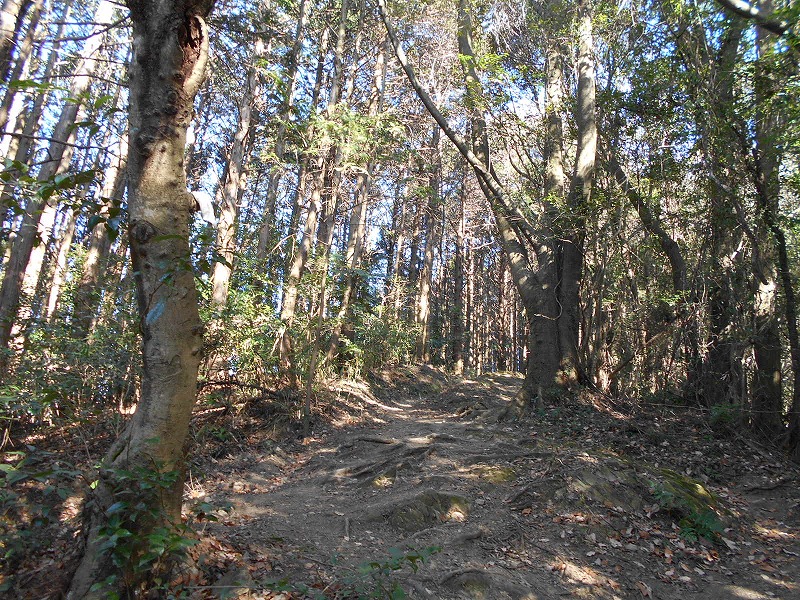 f0308898_1750286.jpg