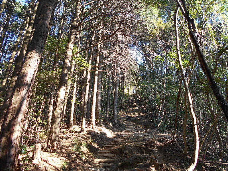 f0308898_17503535.jpg