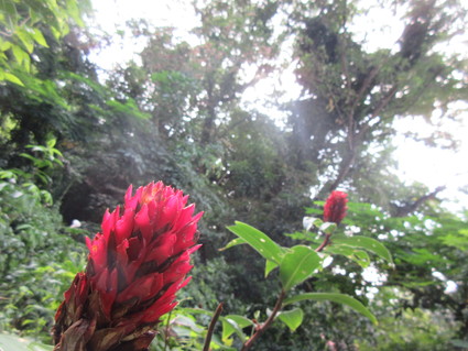 c0212604_525159.jpg