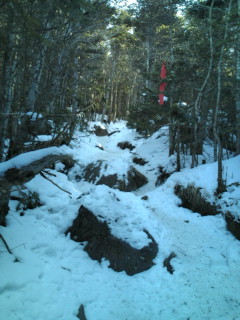 e0028904_21113074.jpg