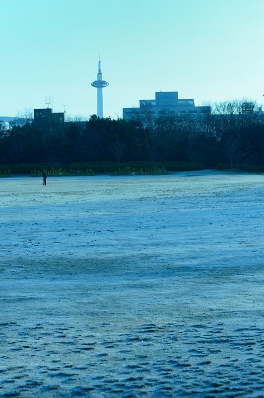冷え込んだ朝の公園_f0032011_16104870.jpg