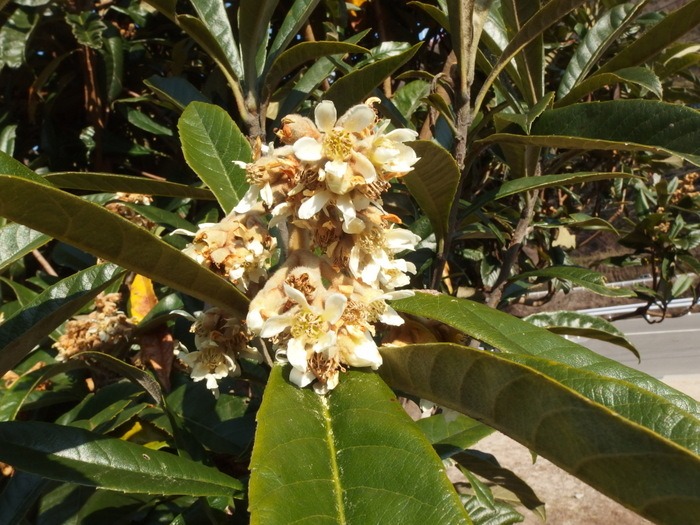 c0116915_22544855.jpg