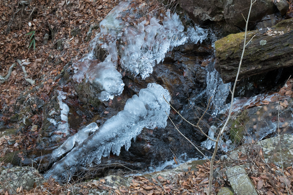 d0161322_15513558.jpg