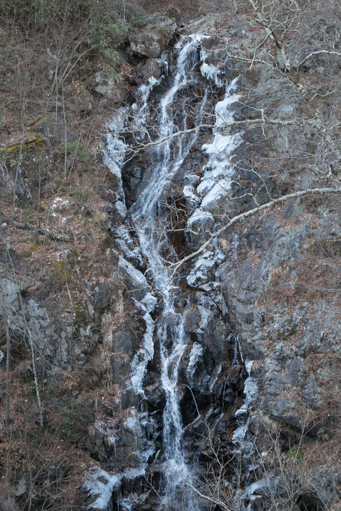 d0161322_15513833.jpg