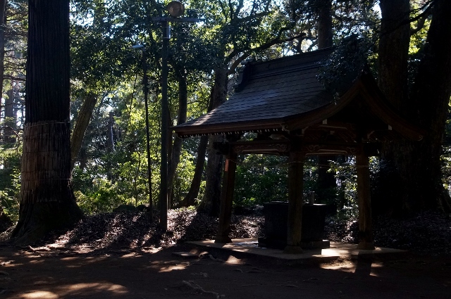 【地元の八菅神社参拝】今年も正月2日に娘夫婦とお参り行きました♪_b0033423_703461.jpg