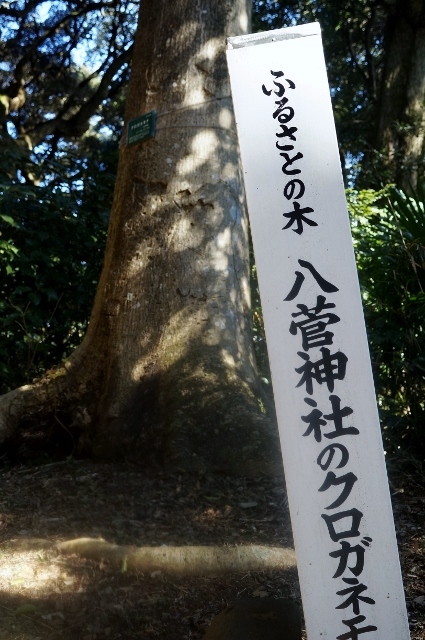 【地元の八菅神社参拝】今年も正月2日に娘夫婦とお参り行きました♪_b0033423_7393177.jpg