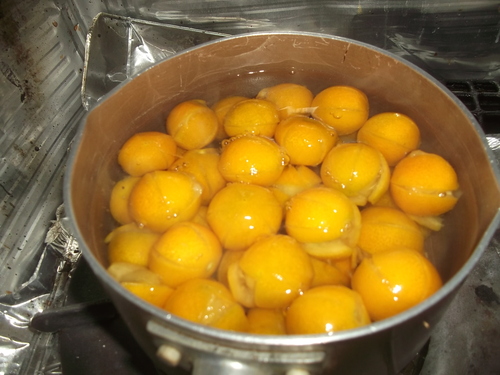 金柑の甘露煮..風邪予防!_b0137932_14205162.jpg