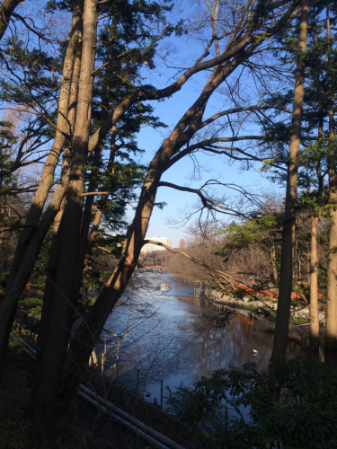 f0327534_11362101.jpg