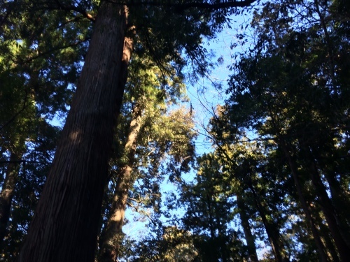 f0335539_19125123.jpg