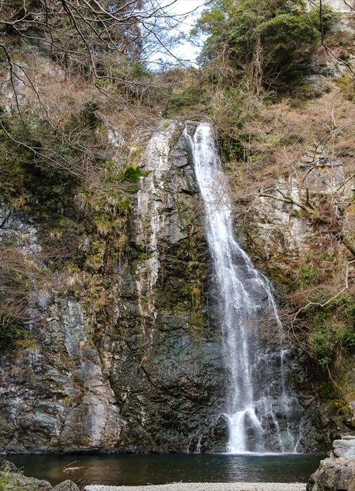 b0242140_816071.jpg
