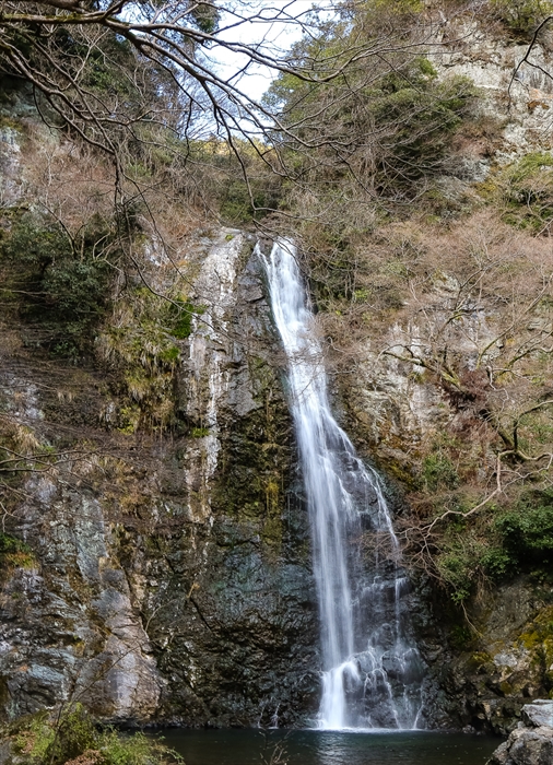 b0242140_8161121.jpg