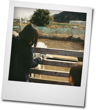 2016.いちご狩りに行く_e0214646_22174570.png