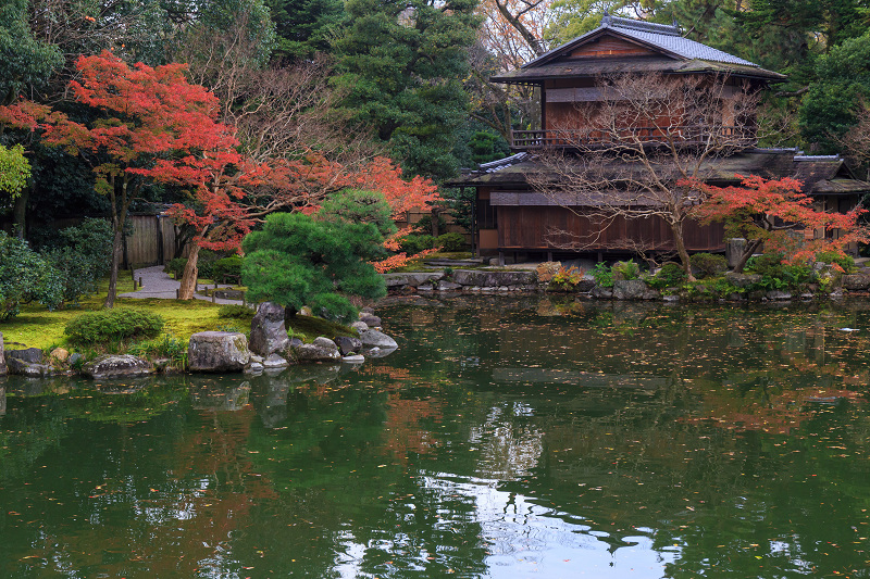 京都の紅葉2015・彩りの御所（京都御所）_f0155048_21321321.jpg