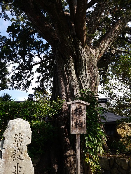 　　道成寺（どうじょうじ）  ２０２３-１２-２０　００：００_b0093754_19345293.jpg