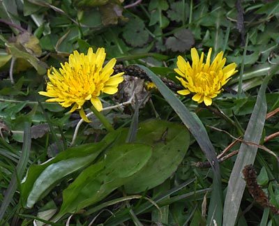 e0035757_01201927.jpg