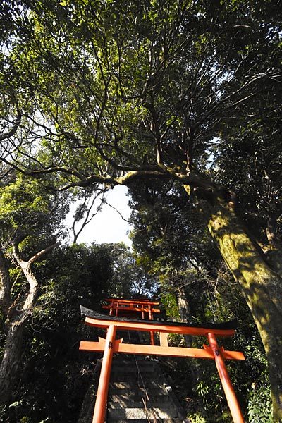 e0035757_01214385.jpg