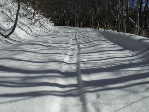 c0294658_00123086.jpg