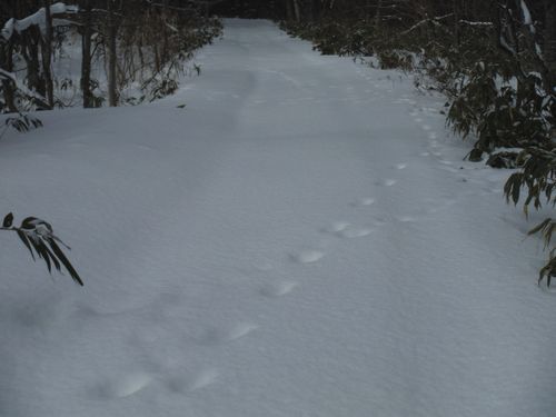 c0294658_00124212.jpg