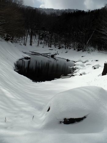 c0294658_00260370.jpg