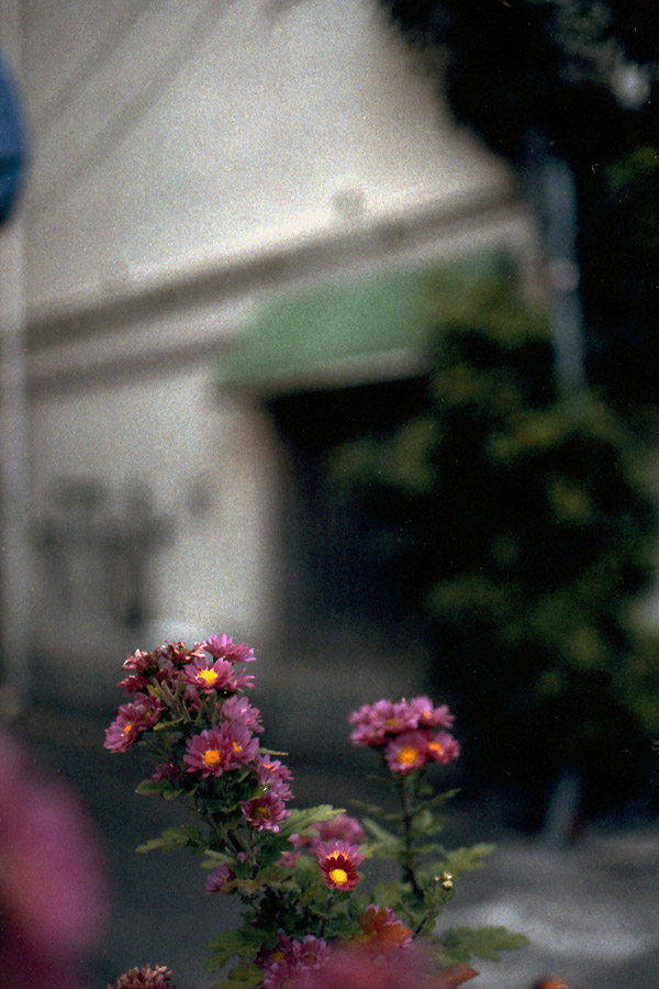 e0101258_20552719.jpg
