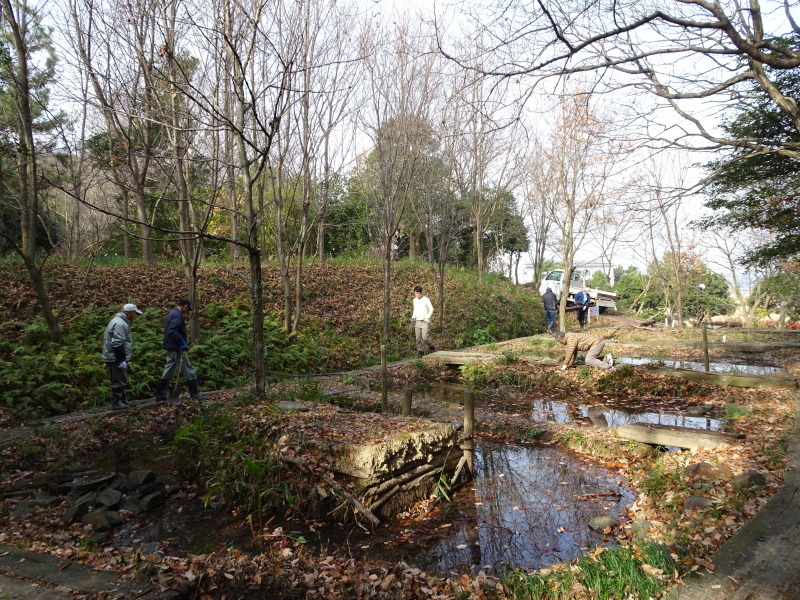 c0108460_21164690.jpg