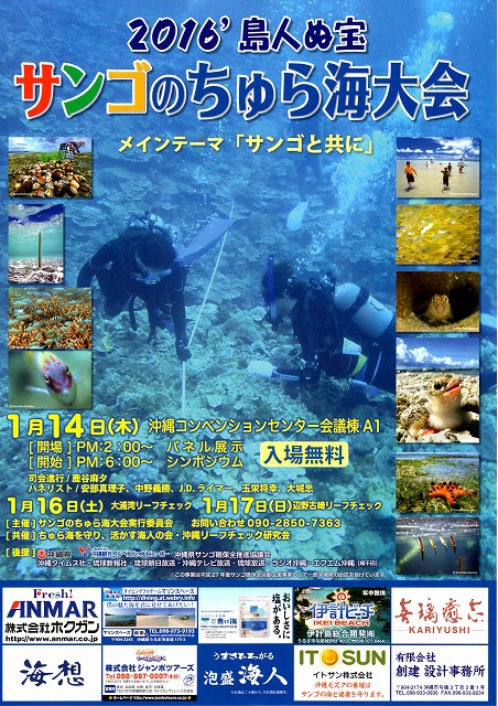 サンゴのちゅら海大会_c0180460_23401.jpg