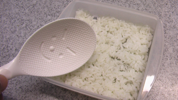 保存用のケースがおにぎらずのケースに 流れの向こうに 保存用のケースがおにぎらずのケースに 流れの向こうに