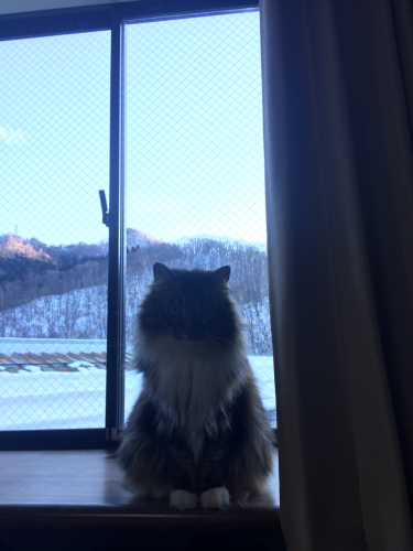 苗場に雪が降りました〜〜〜!!!_c0151965_12254880.jpg