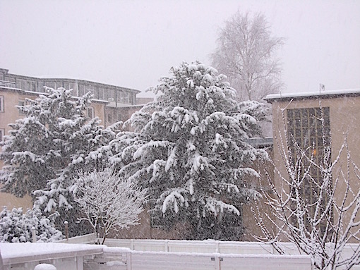 ❄️どんどん雪が降り積もっていきます！❄️_e0357367_0202152.jpg