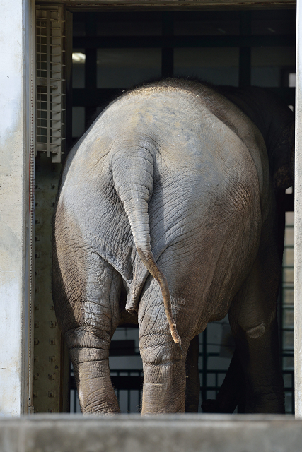 冬の動物園_c0197772_8413951.jpg