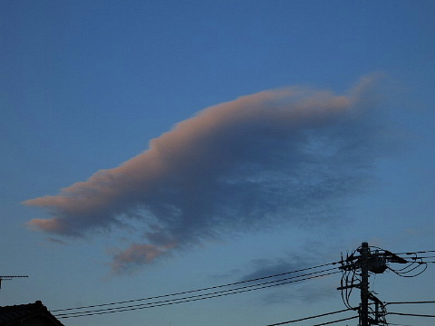 捨てるあなた、捨てないあなた。_b0141773_1930933.jpg