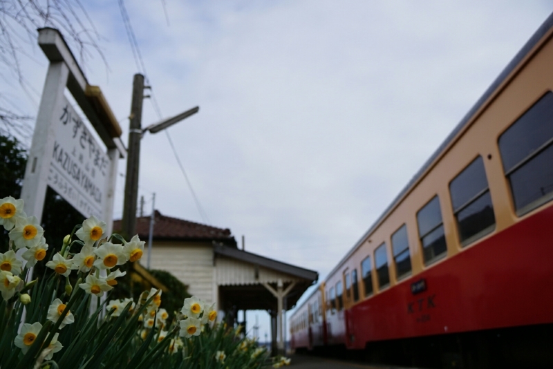 d0341483_20540999.jpg