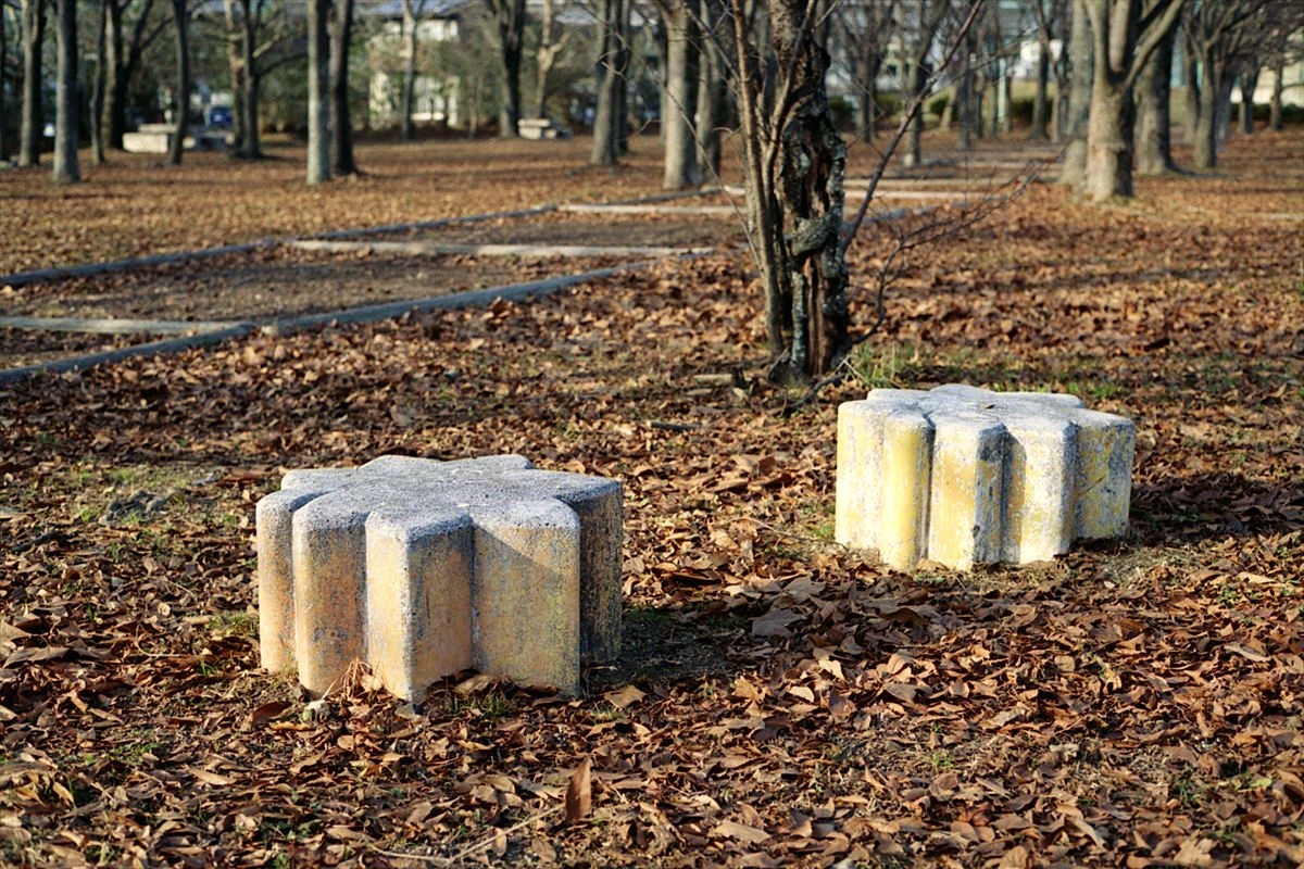 f0159784_17232772.jpg