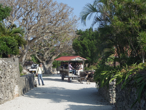 a0034487_12963.jpg