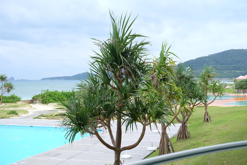 f0244291_12142990.jpg